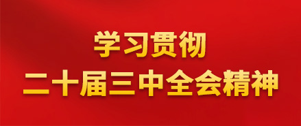 学习贯彻二十届三中全会精神