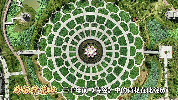 14wps图片_26